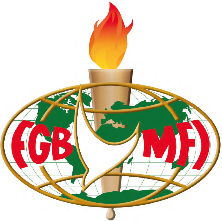 FGB-MFI
